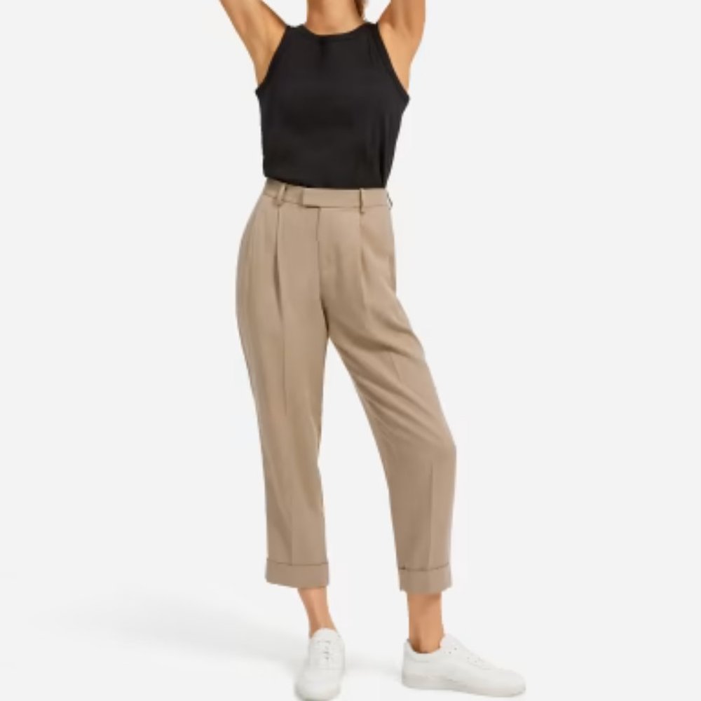 Everlane The Put-Together Pleat Pant Sz 2 Clay